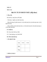 Giáo án Sinh học 11 bài 19: Tuần hoàn máu (tiếp theo)