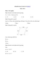 ĐỀ KTCT TOÁN 3 ( TUẦN 2.1 )