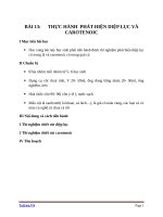 Giáo án Sinh học 11 bài 13: Thực hành phát hiện diệp lục và carôtenôit