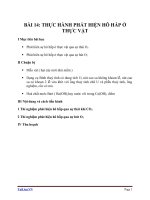 Giáo án Sinh học 11 bài 14: Thực hành phát hiện hô hấp ở thực vật