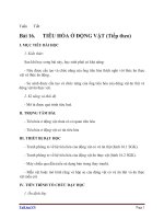 Giáo án Sinh học 11 bài 16: Tiêu hóa ở động vật (tiếp theo)