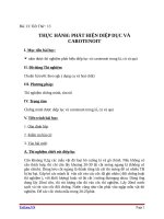 Giáo án Sinh học 11 bài 13: Thực hành phát hiện diệp lục và carôtenôit