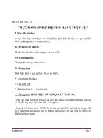 Giáo án Sinh học 11 bài 14: Thực hành phát hiện hô hấp ở thực vật