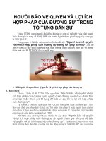 NGƯỜI bảo vệ QUYỀN và lợi ÍCH hợp PHÁP của ĐƯƠNG sự TRONG tố TỤNG dân sự