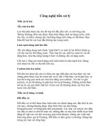 Công nghệ tiền xử lý vải