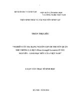 Nghiên cứu đa dạng nguồn gen di truyền quần thể thông lá dẹt (pinus krempfii lecomte) ở tây nguyên   loài đặc hữu của việt nam 