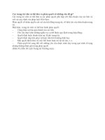 Các trọng tài viên có thể đưa ra phán quyết về những vần đề gì