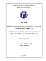 A study of idioms by plants in english and vietnamese from component perspective 