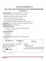 Giáo án Sinh học 12 bài 1: Gen, mã di truyền và quá trình nhân đôi ADN