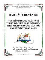 Chuyên đề: Vận dụng phương pháp và kĩ thuật tổ chức hoạt động học theo nhóm để hướng dẫn học sinh tự học trong chương Dòng điện trong các môi trường vật lí 11 cơ bản