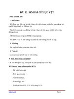 Giáo án Sinh học 11 bài 12: Hô hấp ở thực vật