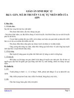 Giáo án Sinh học 12 bài 1: Gen, mã di truyền và quá trình nhân đôi ADN