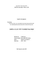 Thực hiện quy trình chăm sóc và nuôi dưỡng lợn nái nuôi con tại trại chăn nuôi bình lục   hà nam liên kết với công ty marphavet 