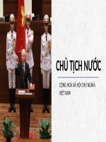 Chủ tịch nước Cộng hoà Xã hội chủ nghĩa Việt Nam