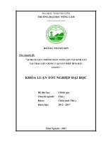 Áp dụng quy trình chăn nuôi lợn nái sinh sản tại trại lợn giống cao sản hiệp hòa bắc giang 