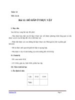 Giáo án Sinh học 11 bài 12: Hô hấp ở thực vật