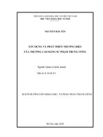 Xây dựng và phát triển thương hiệu của trường Cao đẳng sư phạm Trung ương (Luận văn thạc sĩ)