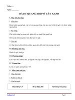 Giáo án Sinh học 11 bài 8: Quang hợp ở thực vật