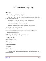 Giáo án Sinh học 11 bài 12: Hô hấp ở thực vật