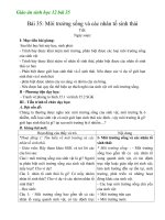 Giáo án Sinh học 12 bài 35: Môi trường sống và các nhân tố sinh thái