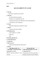 Giáo án Sinh học 11 bài 8: Quang hợp ở thực vật