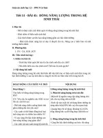 Giáo án Sinh học 12 bài 45: Dòng năng lượng trong hệ sinh thái và hiệu suất sinh thái