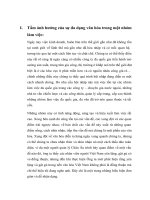 Phân tích tầm ảnh hưởng của sự đa dạng văn hóa trong một nhóm làm việc 