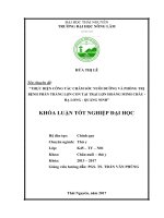 Thực hiện công tác chăm sóc nuôi dưỡng và phòng trị bệnh phân trắng lợn con tại trại lợn hoàng minh châu   hạ long   quảng ninh 