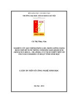 Nghiên cứu quy trình phân lập, nhân giống dạng dịch thể để nuôi trồng nấm đầu khỉ (hericium erinaceus (bull  fr ) pers ) và tách chiết một số polysaccharide có hoạt tính sinh học 
