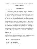 Đề tài MỘT SỐ BÀI TOÁN VỀ CÁC ĐIỂM, CÁC ĐƯỜNG ĐẶC BIỆT TRONG TAM GIÁC