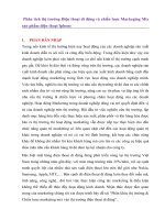 Phân tích thị trường điện thoại di động và chiến lược markeging mix sản phẩm điện thoại iphone 