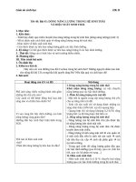 Giáo án Sinh học 12 bài 45: Dòng năng lượng trong hệ sinh thái và hiệu suất sinh thái