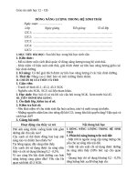 Giáo án Sinh học 12 bài 45: Dòng năng lượng trong hệ sinh thái và hiệu suất sinh thái