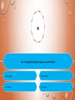 Slide powerpoint trò chơi Quốc huy  Nghi thức nhà nước