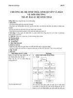 Giáo án Sinh học 12 bài 42: Hệ sinh thái