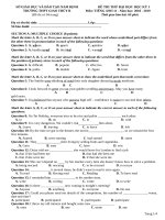 DE THI THU DH TIENG ANH 11