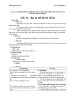 Giáo án Sinh học 12 bài 42: Hệ sinh thái