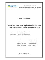 Đánh giá hoạt tính kháng khuẩn của cao chiết methanoltừ cây elephantopus sp  