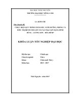 Thực hiện quy trình chăm sóc, nuôi dưỡng, phòng và điều trị bệnh cho lợn nái tại trại đặng đình dũng   lương sơn   hòa bình 