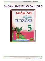 Giáo án luyện từ và câu lớp 5 tích hợp giáo dục môi trường và kĩ năng sống cho giáo viên tiểu học năm 2018,2019