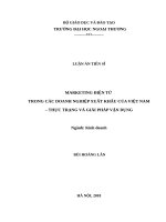 Marketing điện tử trong các doanh nghiệp xuất khẩu của việt nam thực trạng và giải pháp vận dụng