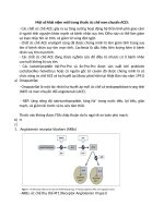 Một số khái niệm mới trong thuốc ức chế men chuyển ACEI