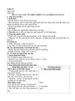 Giáo án 5 hoạt động   phương pháp mới   ngữ văn 7   học kì II