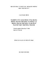 Nghiên cứu giải phẫu ứng dụng động mạch thượng vị nông và động mạch thượng vị dưới ở người Việt trưởng thành (TT)