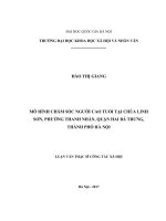 Mô hình chăm sóc người cao tuổi tại chùa linh sơn, phường thanh nhàn, quận hai bà trưng, thành phố hà nội 