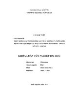 Thực hiện quy trình chăm sóc nuôi dưỡng và phòng trị bệnh cho lợn thịt nuôi tại trại chăn nuôi bình minh   huyện mỹ đức   hà nội 