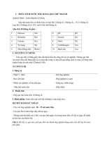 PHÂN TÍCH NƯỚC TIỂU BẰNG QUE THỬ NHANH