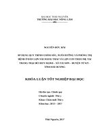 Áp dụng quy trình chăm sóc, nuôi dưỡng và phòng trị bệnh ở lợn nái mang thai và lợn con theo mẹ nuôi tại trang trại chăn nuôi bùi huy hạnh 