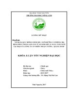 Áp dụng quy trình chăm sóc, nuôi dưỡng và phòng trị bệnh phân trắng lợn con từ sơ sinh đến 21 ngày tuổi nuôi tại trại của công ty CP thiên thuận tường   quảng ninh 