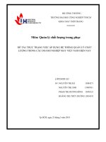THỰC TRẠNG VIỆC ÁP DỤNG HỆ THỐNG QUẢN LÝ CHẤT LƯỢNG TRONG CÁC DOANH NGHIỆP MAY VIỆT NAM HIỆN NAY